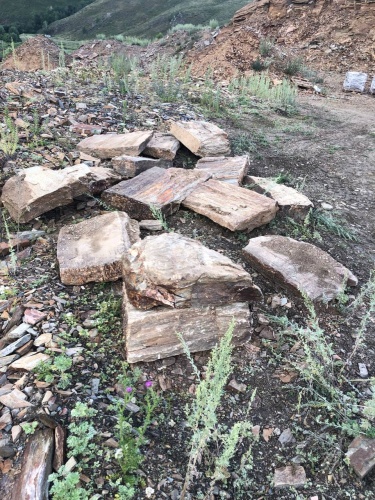 Плитняк кора дерева 50-100мм для пошаговых дорожек купить в Ижевске